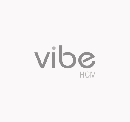 vibe HCM logo