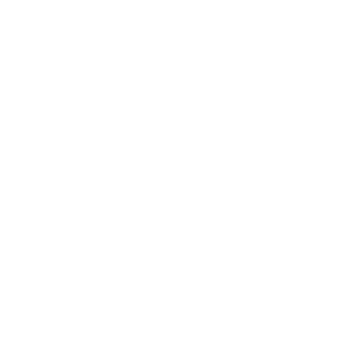 Legion Infographic Icon Reversed