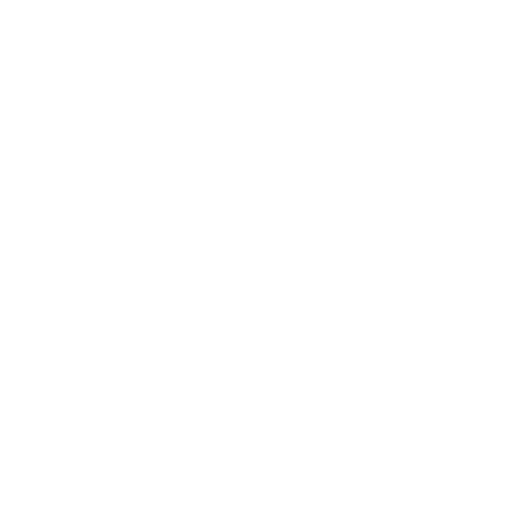 Strategic Guidance
